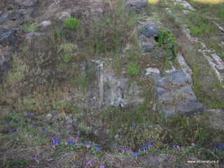 Neoria Naxos